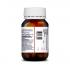 Probiotics+ Skin Support